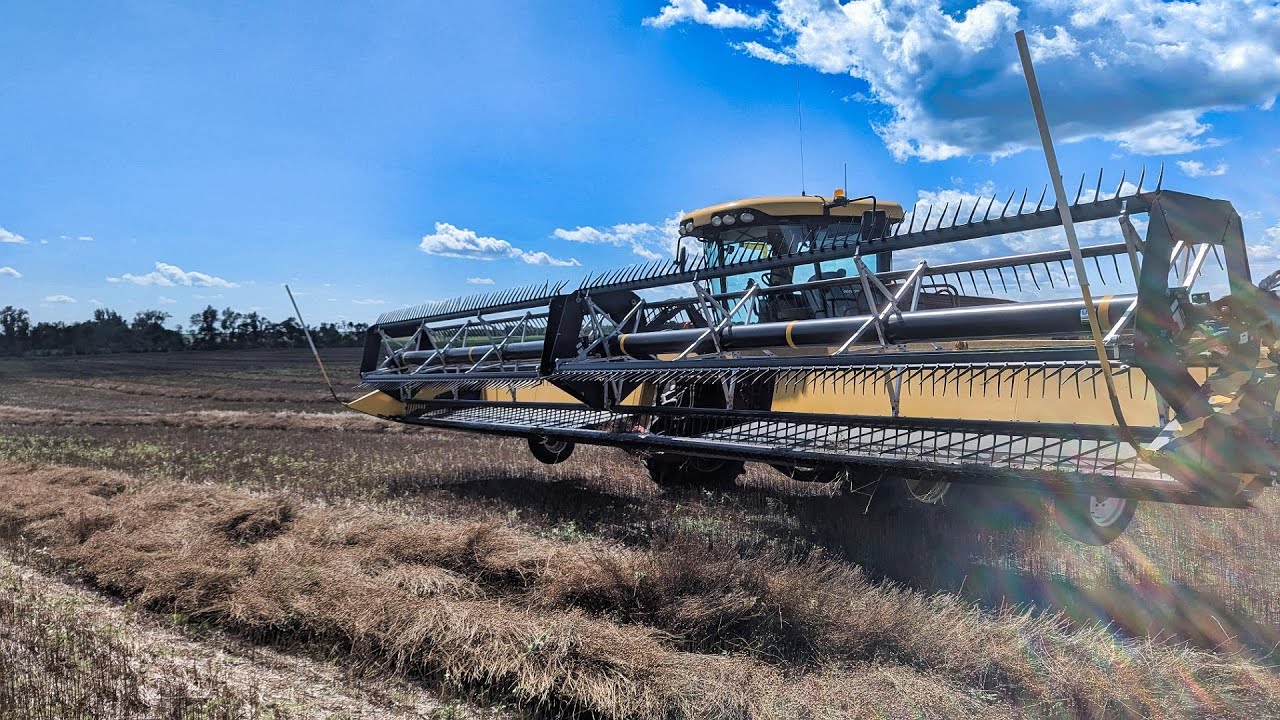 Might Have Insane Flaxseed