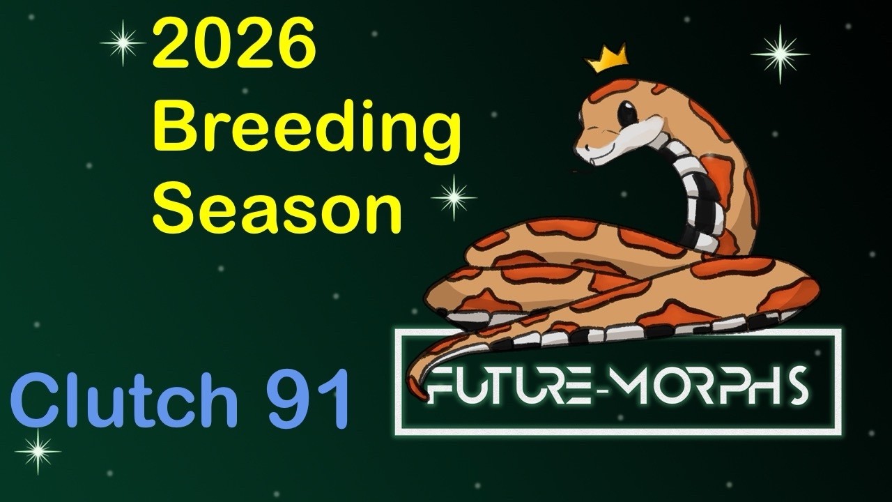 Clutch 91: Who's Your Daddy?!?! | Future-Morphs