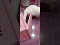 Что делать-то?) #котики #юмор