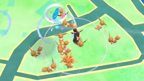 Eevee community day in pokemon go