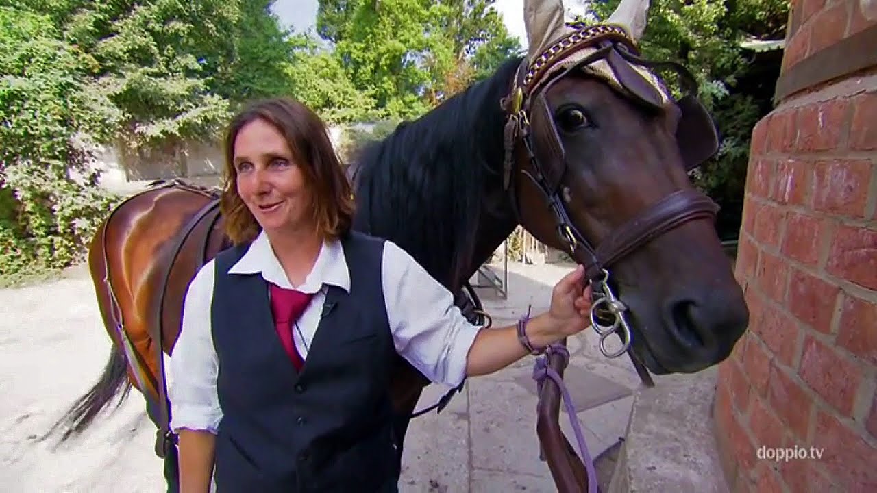 Wunderschönes Wien Mit dem Fiaker durch die Stadt