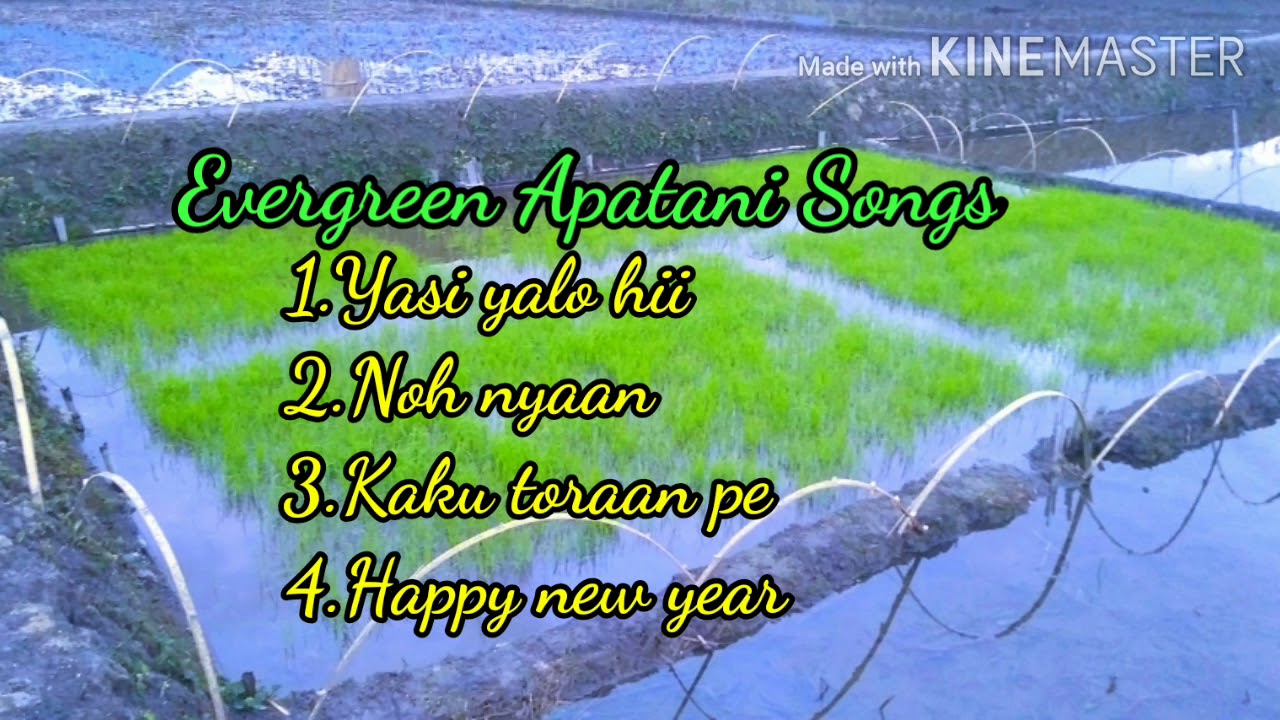 Evergreen apatani songs  Arunachal Pradesh