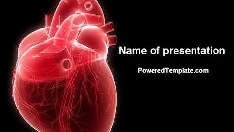 Model Of Heart PowerPoint Template by PoweredTemplate.com
