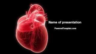 Model Of Heart PowerPoint Template by PoweredTemplate.com