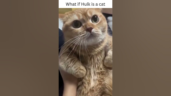 "CAT HULK: Amikor egy apró nyávogásból szörnyüvítés lesz!" #macska