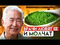 Аптекарь: врачи так исцеляются, но Вам не назначают! Что творит спирулина