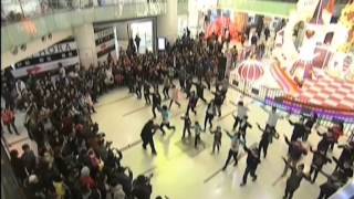 Beijing flashmob calls for less fireworks displays
