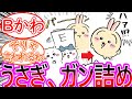 【ちいかわ】採点結果発表！うさぎ、ちいかわを詰める…に対する読者の反応集【ゆっくりまとめ】