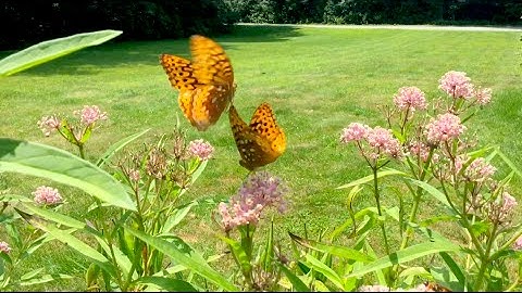 iPod Touch 6th Generation Video Test