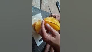 Lagu Albania terbaik