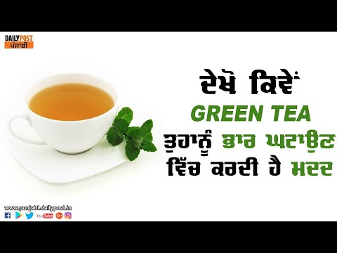 ਦੇਖੋ ਕਿਵੇਂ Green Tea ਤੁਹਾਨੂੰ ਭਾਰ ਘਟਾਉਣ ਵਿੱਚ ਕਰਦੀ ਹੈ ਮਦਦ