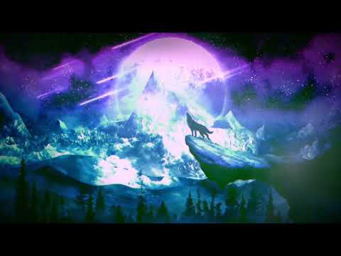 Metric - Satellite Mind