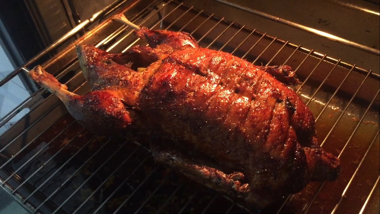 ÖRDEK FIRIN BU ZAMANA KADAR NEDEN YAPMAMIŞIM