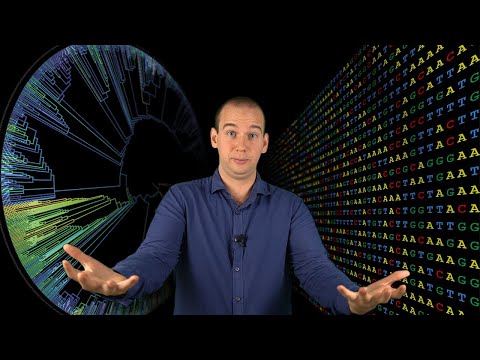 Video: Quali sono le fasi della teoria dell'elaborazione delle informazioni?