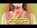 Как проверить щитовидную железу в домашних условиях?