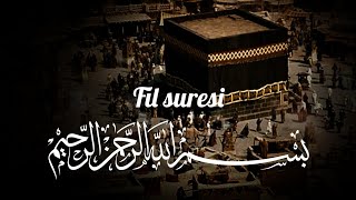 Fil Suresi Okuyan : İdris Abkar