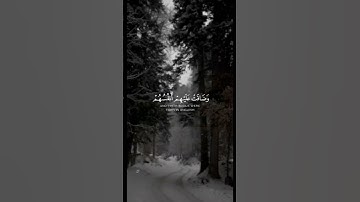 { ثم تاب عليهم ليتوبوا } | القارئ محمد البارقي
