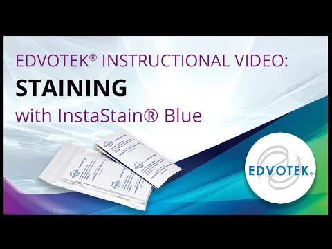 InstaStain® azul - Edvotek Video Tutorial