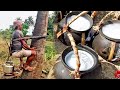 Toddy Palm NEERA Juice: A Sustainable, Delicious Drink