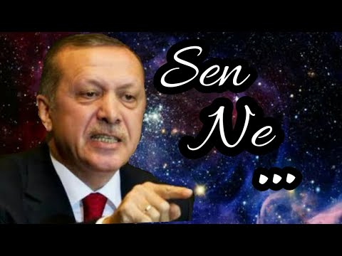 Sen Ne Gerizekalısın Ya.....