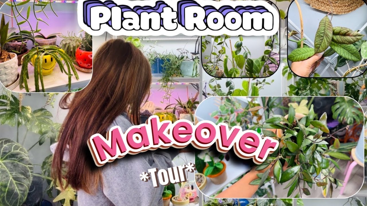 Plant Room Walkthrough TOUR!! 