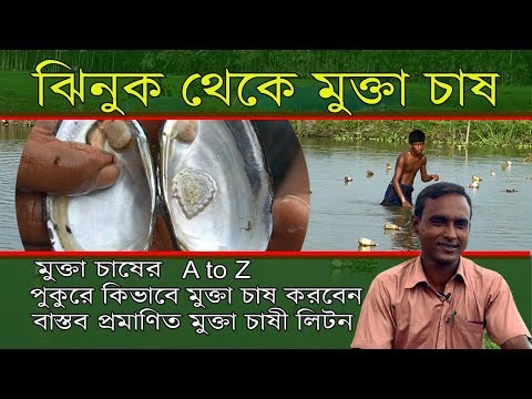 ভিডিও: সামুদ্রিক মধ্যে আচার হেরিং কিভাবে