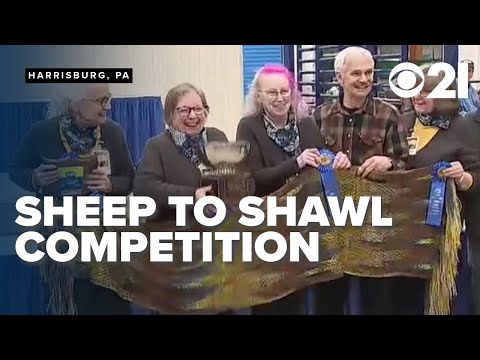 Record-breaking 'Sheep to Shawl' turns sheep shearing to something beautiful