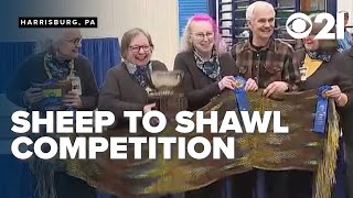 Record-breaking 'Sheep to Shawl' turns sheep shearing to something beautiful