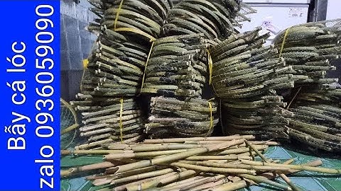 Bán lợp cá lóc, bán bẫy cá lóc, bán lờ cá lóc. zalo 0936059090. ship toàn quốc.