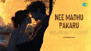 Nee Madhu Pakaru - Sleep Lofi | Moodal Manju | Usha Khanna | K. J. Yesudas | EternaLove