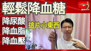 逆轉糖尿好幫手！高血糖、高血脂、高尿酸、高血壓，穿這件貼身黑科技，四高自己降！