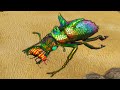 Evolving the DEADLIEST BATTLE BEETLE in Beetle Uprising