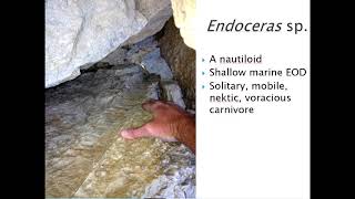 204 Geologic Mapping & Local Geology Part 2 NARRATED