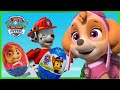 ASMR Paw Patrol Surprise Eggs Chocolate opening/Unboxing #new#short#pawpatrol#toys#asmr#marshall
