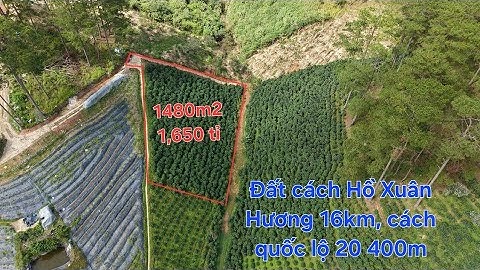 1480m2 sổ riêng giá 1,650 tỉ xã Xuân Thọ, Đà Lạt. Đất cách Đà Lạt 16km, cách quốc lộ 20 là 400m