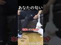 好きな人に捨てられたと思った猫が絆を取り戻すまで #shortvideo #猫 #香り
