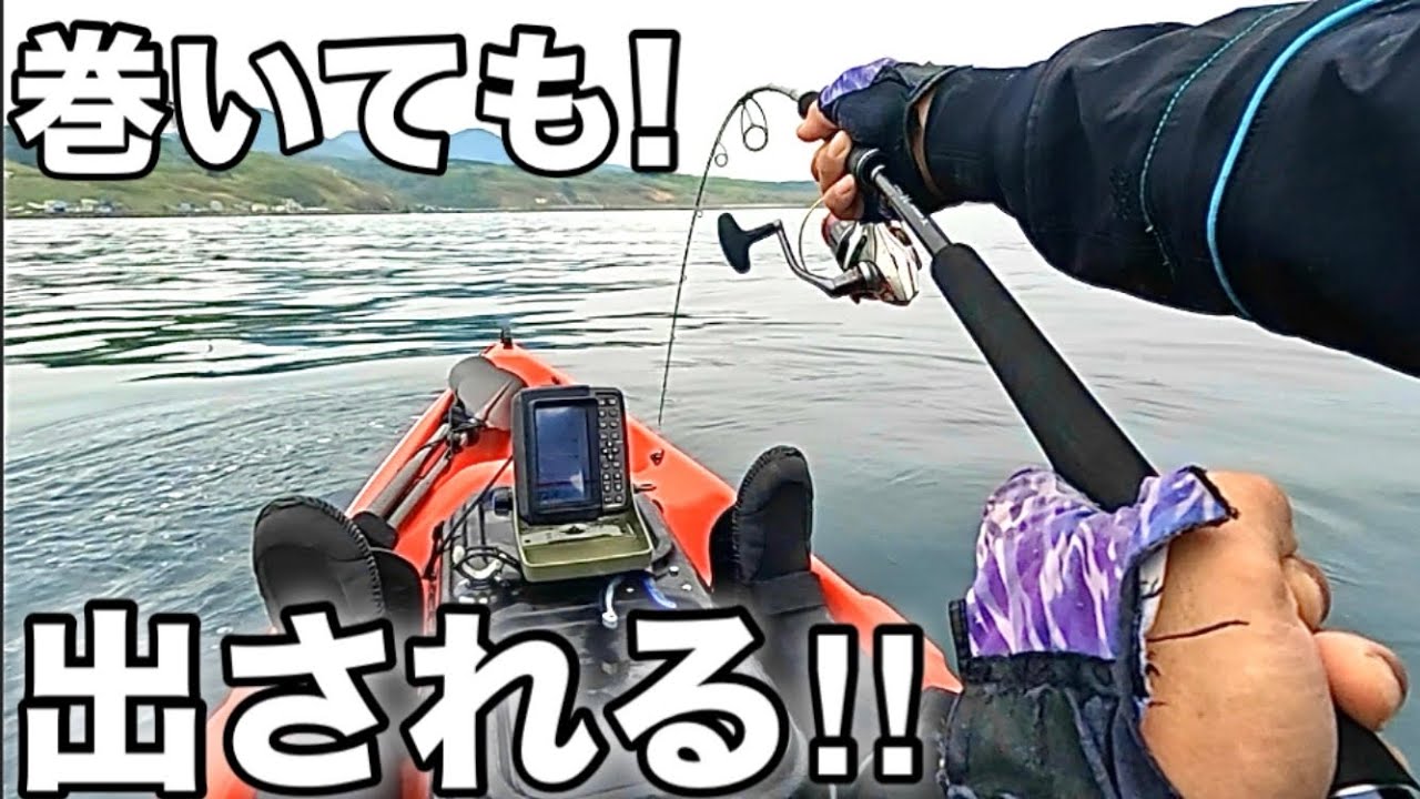 この刺激的な釣りがやめられない!