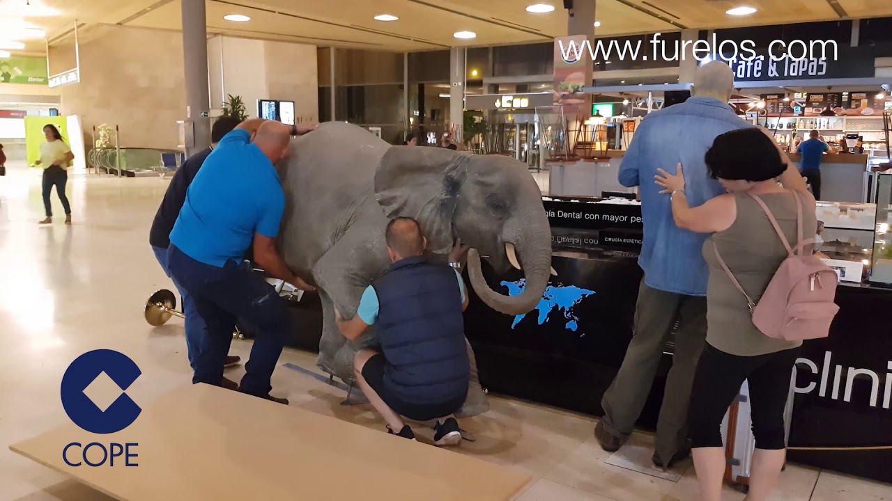 Hiperrealismo en Los Rodeos - Entrevista al Dr. Furelos en Cadena Cope dentista roma