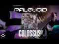 PaleVoid COLOSSUS OFFICIAL Guitar Playthrough mp3