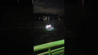 Christmas Tree on a dock view from WSDOT Ferry 9/8/2025