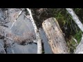 Cascade toads - Skookum Lake