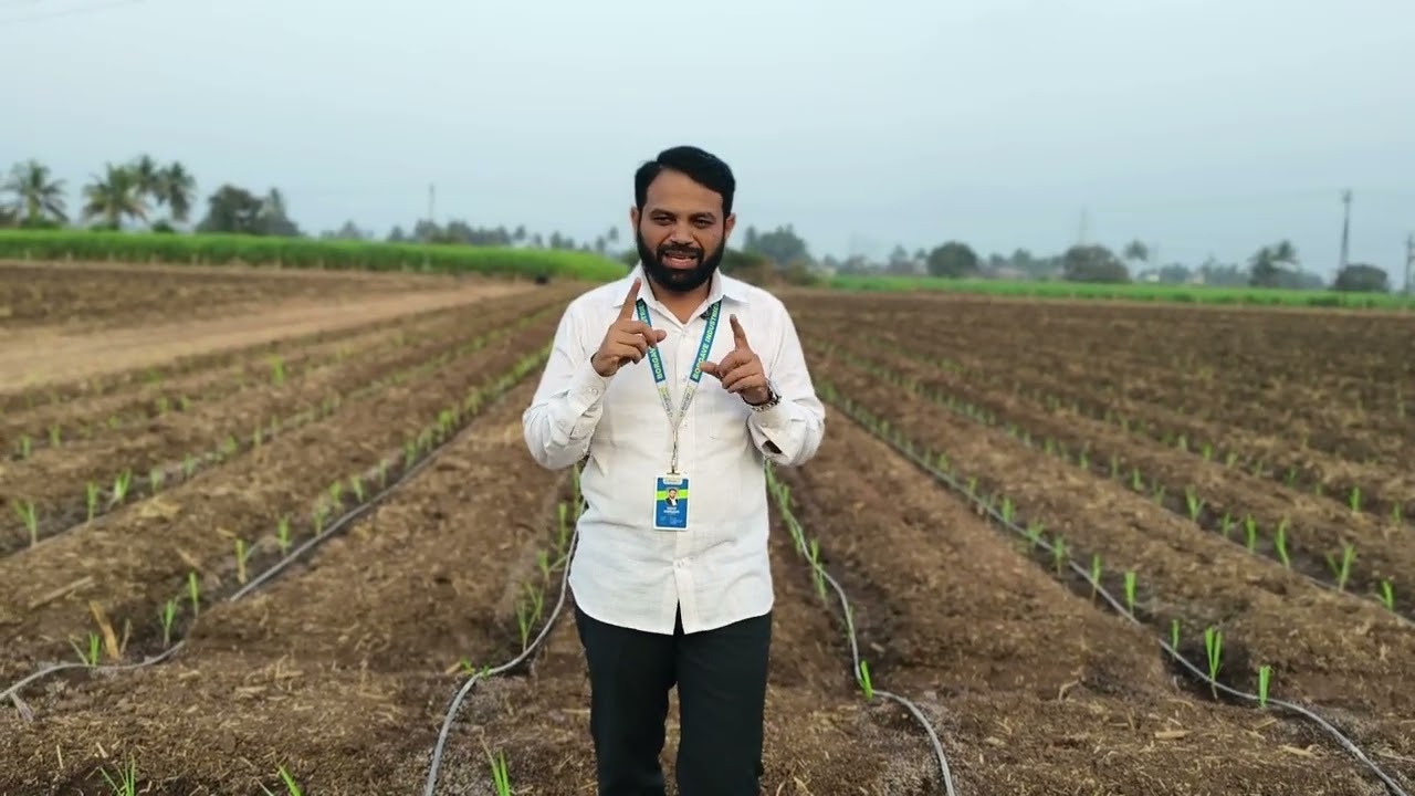 ऊस बियाणे प्लॉट चे नियोजन कसे असले पाहिजे?#वस्ताद #mh_09_पॅटर्न #वस्ताद_किट #vastad_kit #borgave