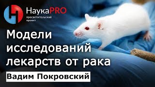 На каких моделях исследуют противоопухолевые препараты - Вадим Покровский | Лекции по онкологии