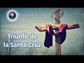 Triunfo de la Santa Cruz