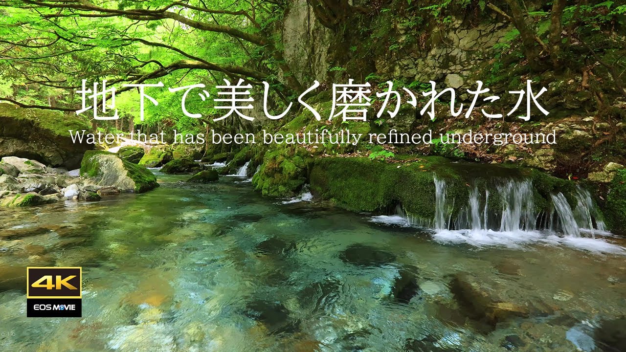 4K  自然環境音 / 地下で磨かれた伏流水が流れる川の音  鳥のさえずり　birds chirping