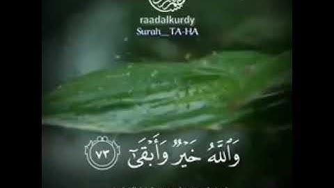 تلاوه  هادئه  بعض  من ايات  القرأن  الكريم