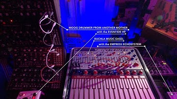 My NEW Buchla Music Easel with the Moog DFAM