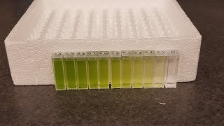 6-5 Spectrophotometer Calibration