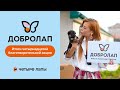 Итоги 14-й благотворительной акции &quot;Добролап&quot;