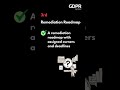 The GAP Analysis Output